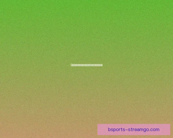 B体育手机版：全面解析功能特点与用户体验升级